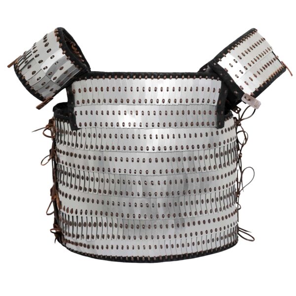 Viking Lamellar Scale Armour with Visby Plates - Image 4