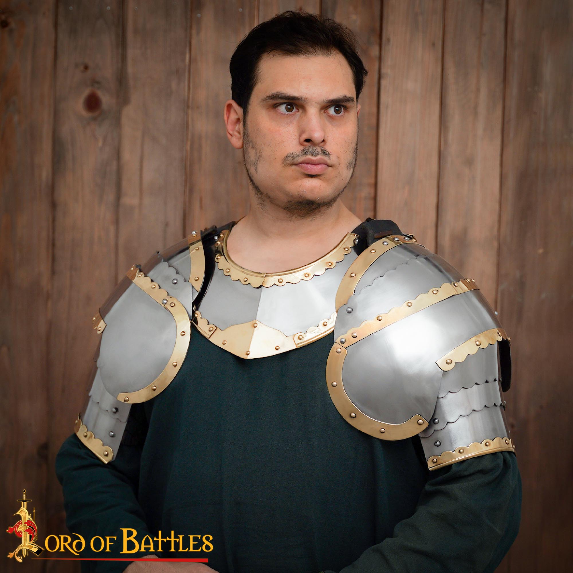 15th Century Steel and Brass Pauldrons – Gothic Shoulder Armor-25612P 1
