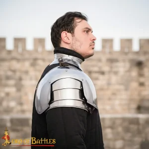 Renaissance Knightly Pauldrons 16 gauge