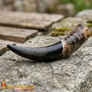 Viking drinking horn