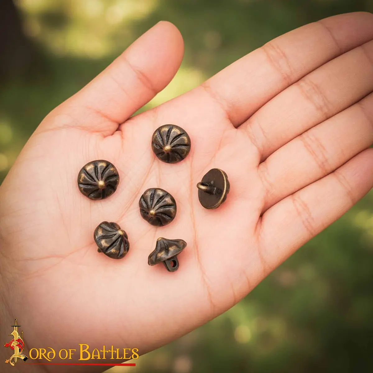 8704-6pcs-Gallery-Ai-6