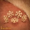 Fleur Rosette Belt Studs or Conchos Pure Solid Brass Set of 5