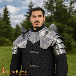 Pauldrons