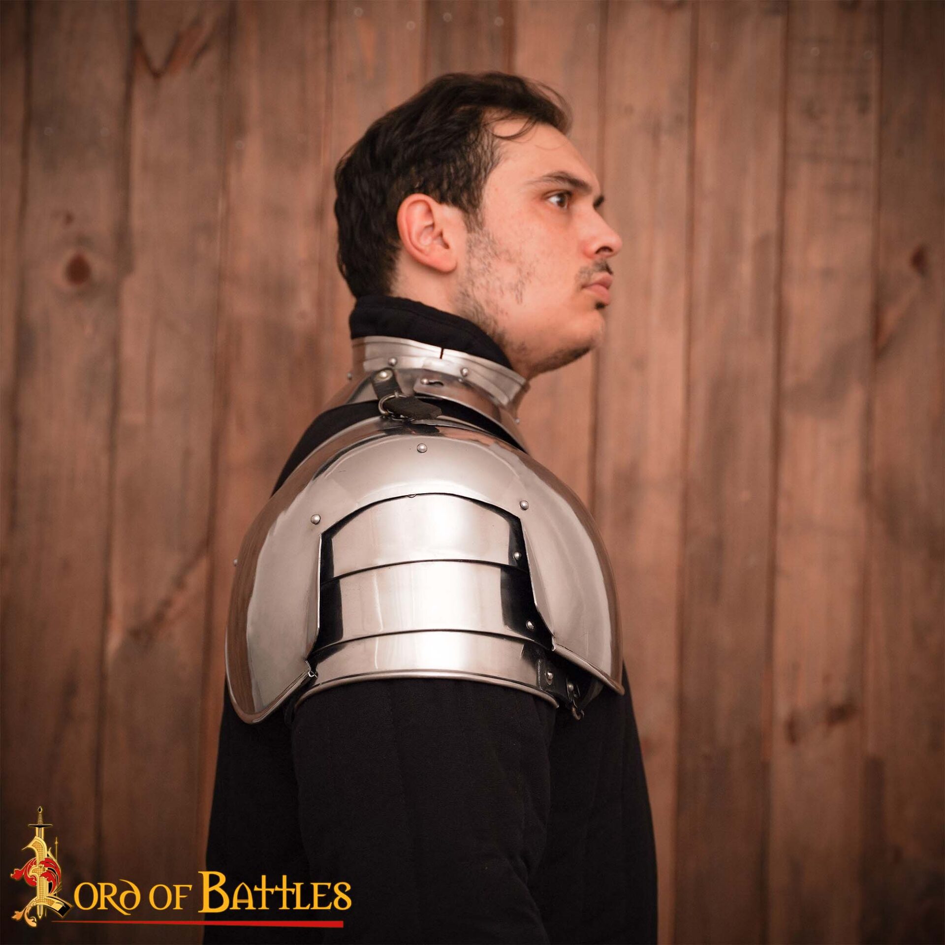 Renaissance Knight Pauldrons-25514 6