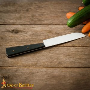 Handcrafted Medieval Stainless Steel Knife with Ox Horn Handle – Camp Kit & Display