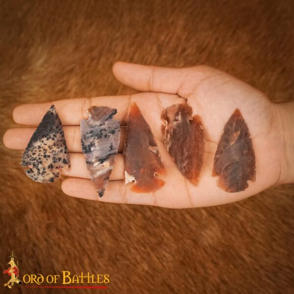 Prehistoric Flint Arrowheads – Neolithic Stone Age Spear Arrow Tips 1207D 5pcs 7