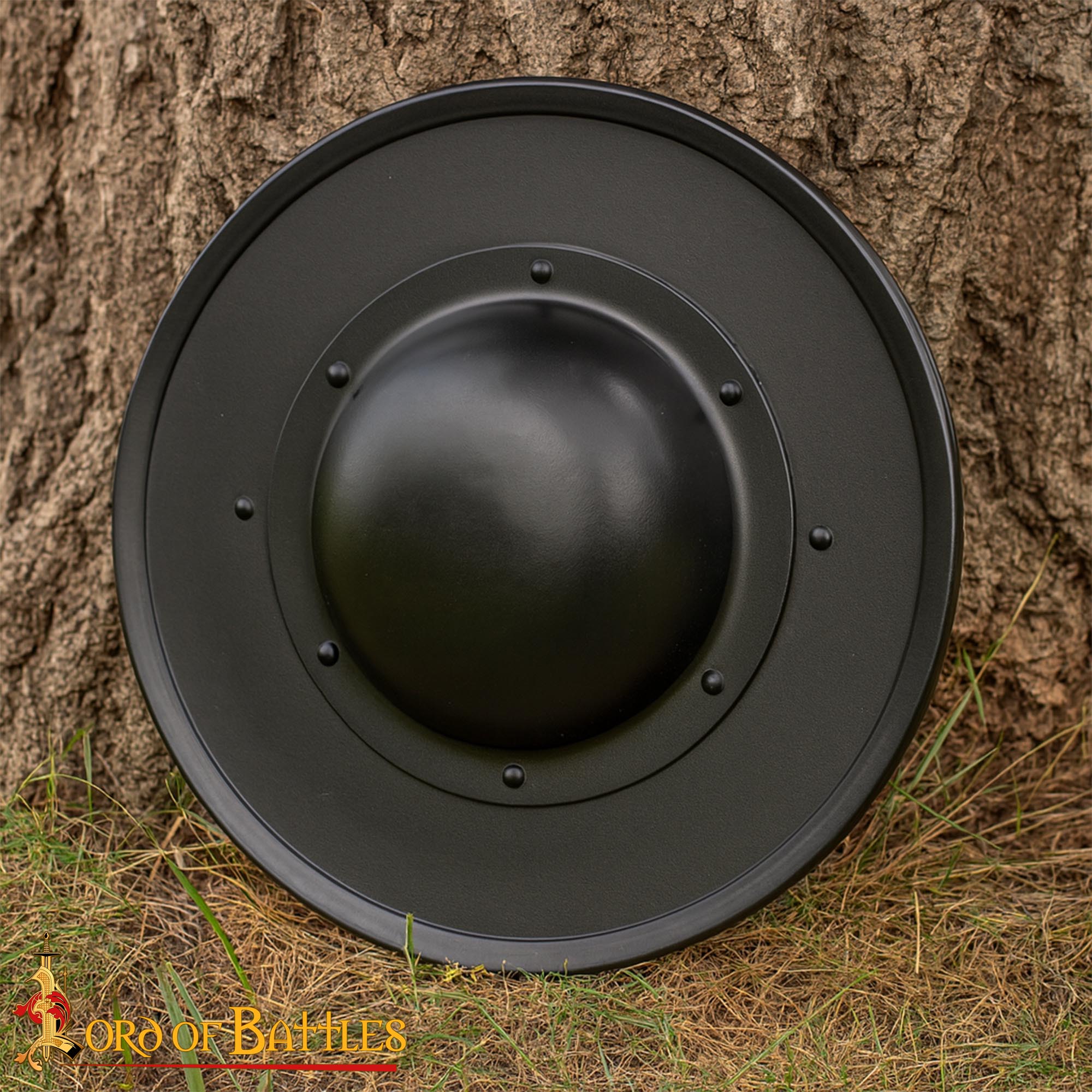 Medieval Fencing Blackened Buckler Functional Steel Shield