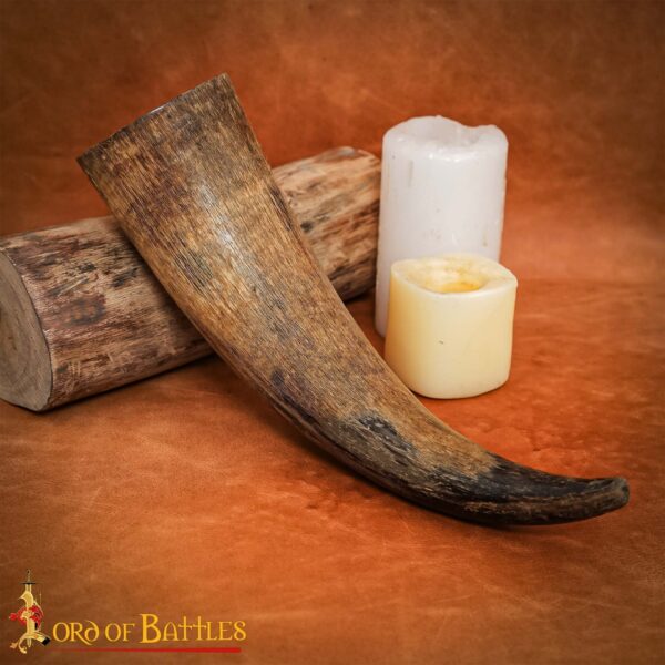 Viking Drinking Horn 26376 5