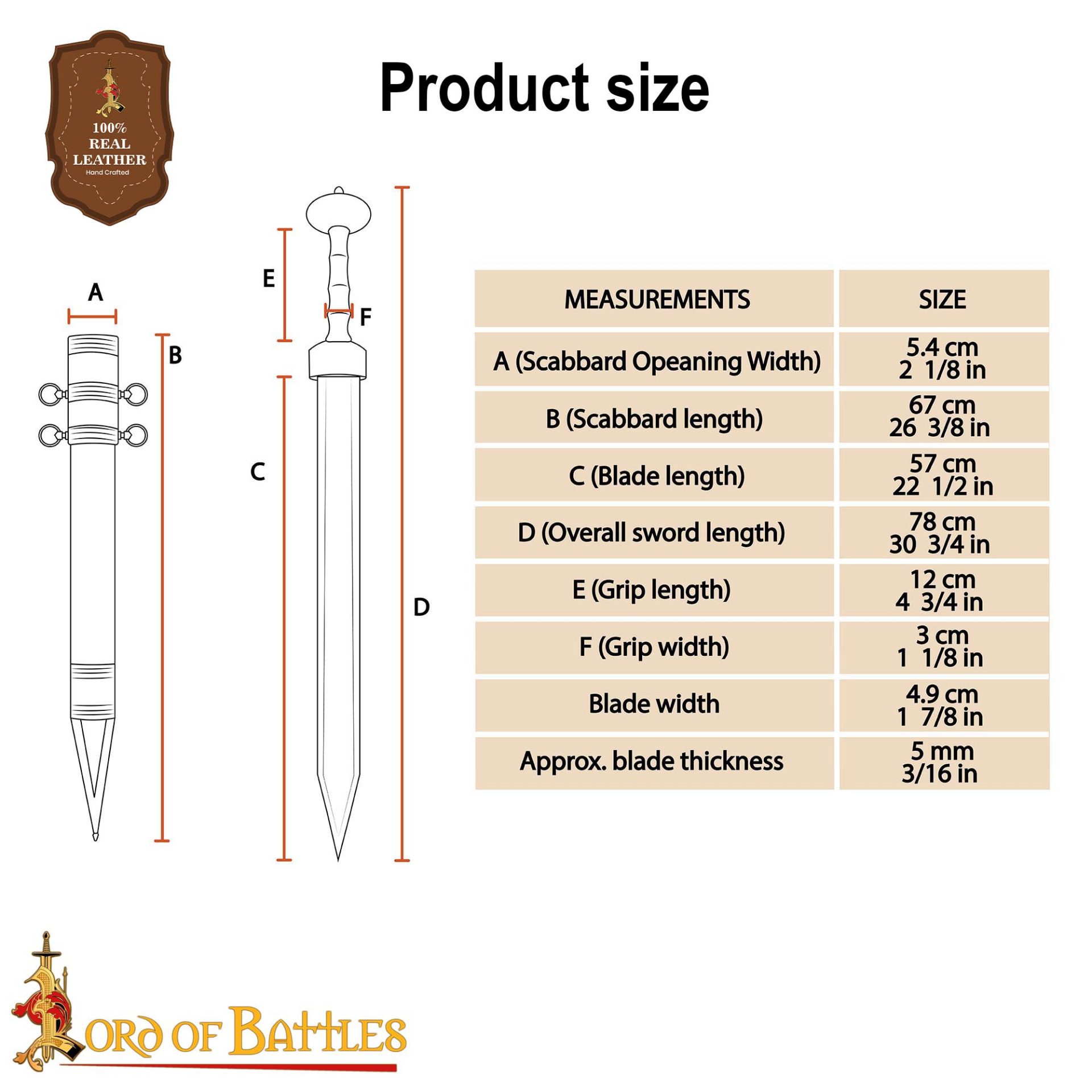 Roman Pompeii Gladius with Scabbard Legionary Short Sword-5503 2