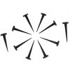 Hand Forged Iron Nails Set of 10 Pieces Fully Functional Accessory