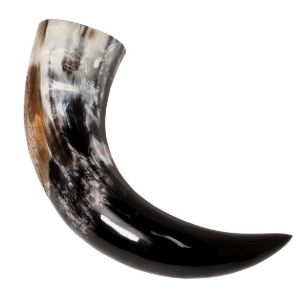 Engraved Rampant Lion Drinking Horn Handcrafted Genuine Ox Horn