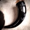 Roebuck Drinking Horn Engraved Handcrafted Genuine Ox Horn