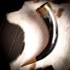 Medieval Viking Drinking Horn with Pure Brass Fittings Handcrafted Genuine Ox Horn