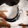 Engraved Rampant Lion Drinking Horn Handcrafted Genuine Ox Horn