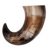 Medieval Viking Drinking Horn with Engraved Designs Handcrafted Genuine Ox Horn