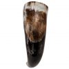 Engraved Rampant Lion Drinking Horn Handcrafted Genuine Ox Horn