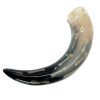 Medieval Viking Drinking Horn with Charred Specks Handcrafted Genuine Ox Horn