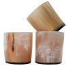 Medieval Viking Horn Shot Glasses Set of 3 Genuine Horn Accessory