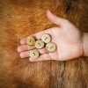 Handcrafted genuine horn buttons set of 5 clothing and leather accessory