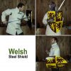 Decorative Welsh Shield with Lion Rampant Print Owain Glyndwr Coat of Arms