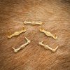 Late Medieval Solid Brass Leather Decoration Set of 5