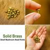 Pure Brass Small Mushroom Head Rivets Set of 25