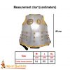 Cuirass Steel polish