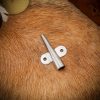 Plume Clip for Medieval European Helmets