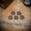 Viking Greiftier Antique Brass Leather Mounts