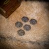 Viking Greiftier Antique Brass Leather Mounts