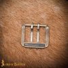 Antique Brass Double Needle Belt Buckle