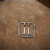 Antique Brass Double Needle Belt Buckle