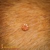 Lost-wax Cast Bronze Flower Fitting / Mount