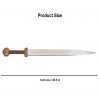 Roman Gladius Sword with Scabbard Functional