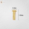 Pure Brass Mushroom Head 13mm Rivets Set of 25 Pieces