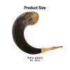 Algiz Protection Rune Drinking Horn With Brass Decoration Genuine Ox Horn