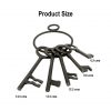 Medieval Dungeon Decorative Key Set of 5 Sturdy Cast Iron