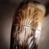 Medieval Viking Drinking Horn with Engraved Designs Handcrafted Genuine Ox Horn