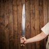 Roman Gladius Sword with Scabbard Functional