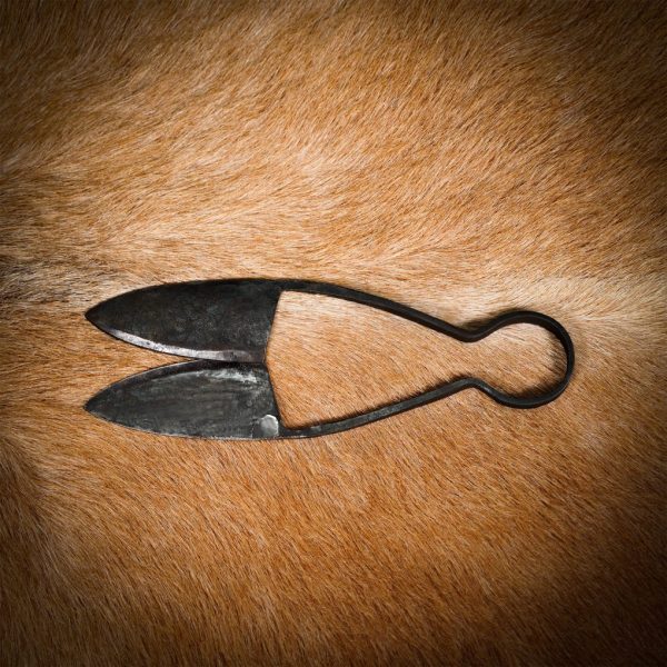 Early Medieval Hand Forged Iron Scissors Fully Functional Accessory