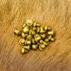 Pure Brass Small Mushroom Head Rivets Set of 25