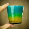 Medieval Horn Flamboyant Colorful Shot Glasses Handmade Authentic Ox Horn