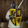 Decorative Welsh Shield with Lion Rampant Print Owain Glyndwr Coat of Arms