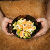 Viking Feast Genuine Horn Bowl Handcrafted Genuine Horn Accessory