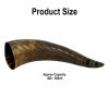 Viking Drinking Ox Horn with Engraved Designs Handcrafted Genuine Ox Horn