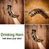 Medieval Viking Drinking Horn with Engraved Designs Handcrafted Genuine Ox Horn