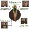 Brilliant Drinking Horn with Ornate Designs Handcrafted Genuine Ox Horn