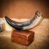The Raiding Pirate Drinking Horn Handcrafted from Genuine Ox Horn