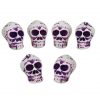 Mini Decorative Skulls Set of Six