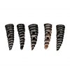 Genuine Spiral Horn Toggles Set of 5